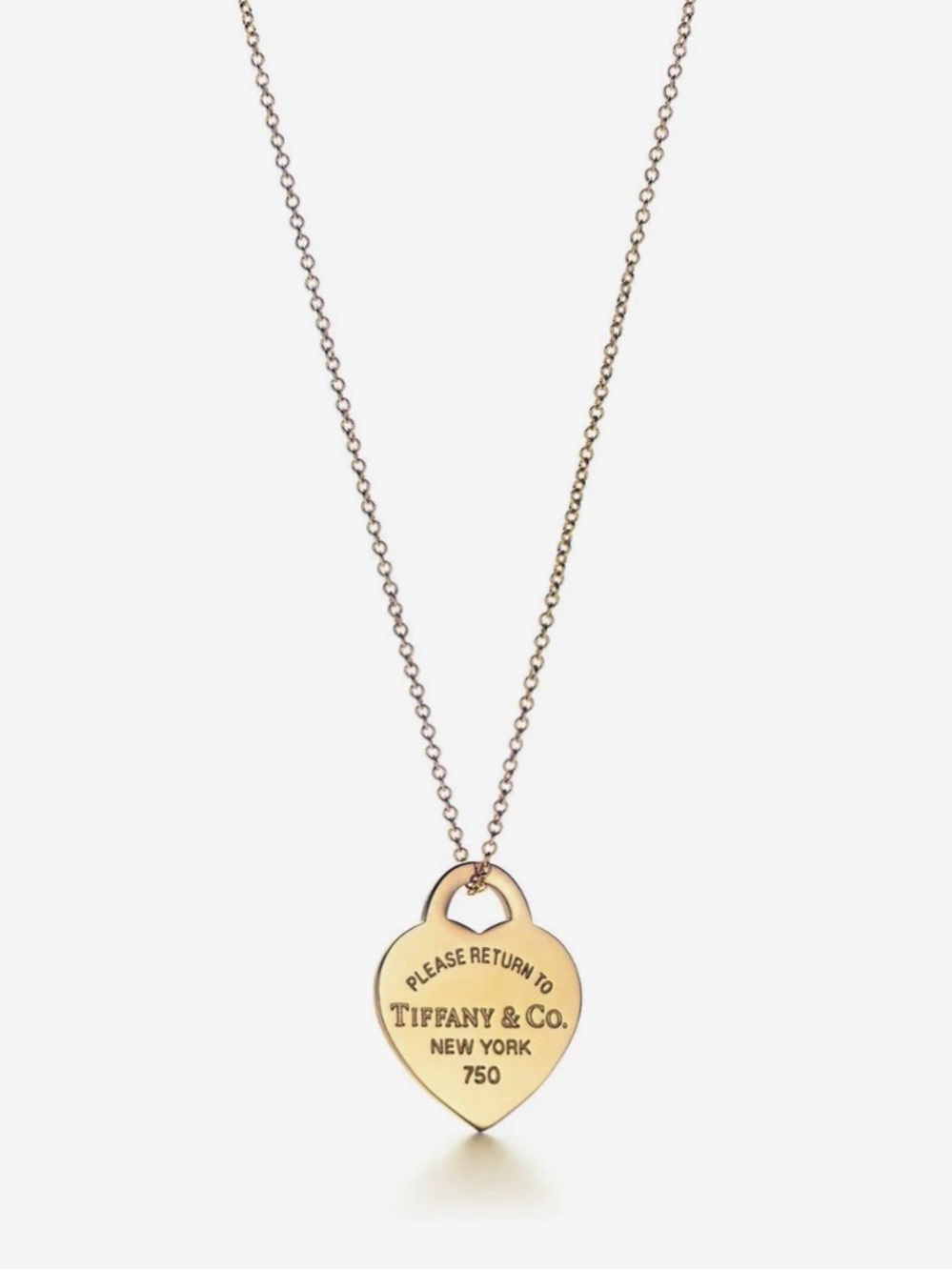Unknown Source Gold Pendant Necklace with Chain